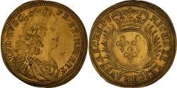 World Coins - France, Token, Louis XV, Michael Leichkauff, Rechenpfennig, History,