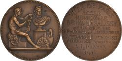 World Coins - France, Medal, Ecole Municipale, Beaux-Arts, Paris, 1911, Lagrange,