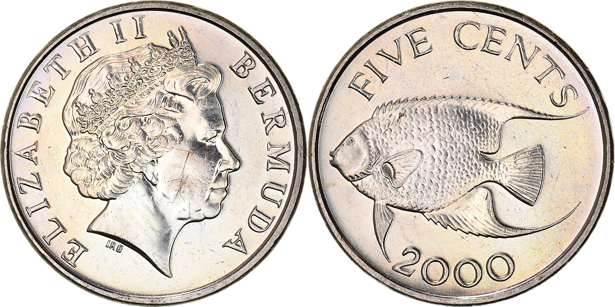 Coin, Bermuda, Elizabeth II, 5 Cents, 2000, , Copper-nickel, KM:108