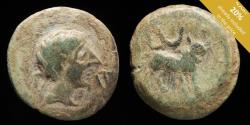 Ancient Coins - Castulo, Cazlona (Jaén), Ae Semis - 20 mm / 5.35 gr.