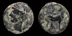 Ancient Coins - Cartagena, Hispanic-Carthaginian 1/2 Calco - 22 mm /6,27 gr.