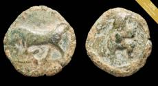 Ancient Coins - Ancient Hispania - Ebusus (Ibiza) Ae 1/2 Calco - 17 mm / 3.12 gr.
