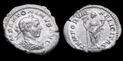 Ancient Coins - Elagabalus Denarius - TEMPORVM FELICITAS - 20 mm / 3,00 gr