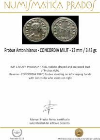 Ancient Coins - Probus Antoninianus - CONCORDIA MILIT - 23 mm / 3.43 gr.