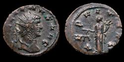 Ancient Coins - Gallienus Antoninianus - AEQVITAS AVG - 20 mm / 3,36 gr.