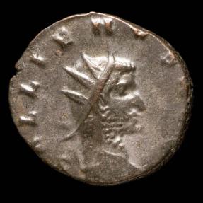 Ancient Coins - Gallienus Antoninianus - AEQVITAS AVG - 19 mm / 2.95 gr.