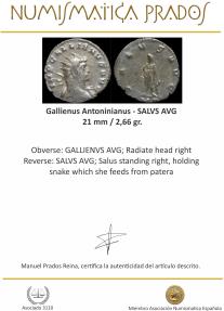 Ancient Coins - Gallienus Antoninianus - SALVS AVG - 21 mm / 2,66 gr.