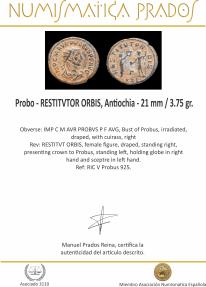 Ancient Coins - Probus Antoninianus - RESTITVT ORBIS, Antioquia - 21 mm / 3.70 gr.