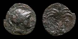 Ancient Coins - Ancient Hispania - Calco Cartagines, Cartagena (Murcia) - 20 mm / 4.72 gr.