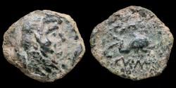 Ancient Coins - Ancient Hispania - Carteia, San Roque (Cadiz) Ae Semis - 24 mm / 12.60 gr.
