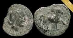 Ancient Coins - Spain - Sacili, Pedro Abad (Cordoba), Ae As - 28 mm / 9.29 gr.