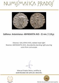 Ancient Coins - Gallienus Antoninianus -ABVNDANTIA AVG - 21 mm / 2.18 gr.