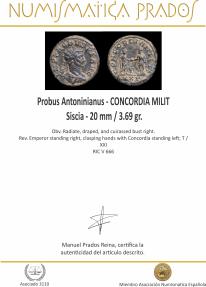 Ancient Coins - Probus Antoninianus - CONCORDIA MILIT, Siscia - 20 mm / 3.69 gr.