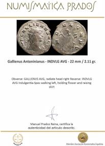 Ancient Coins - Gallienus Antoninianus - INDVLG AVG - 22 mm / 2.11 gr.