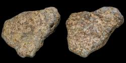 Ancient Coins - Ancient Bronce Precoin - 51 mm / 92,73 gr.