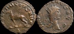 Ancient Coins - Gallienus Antoninianus - APOLLINI CONS AVG - 21 mm / 2.92 gr.