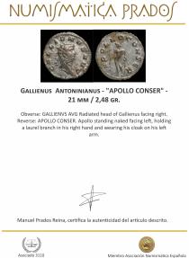 Ancient Coins - Gallienus Antoninianus - 