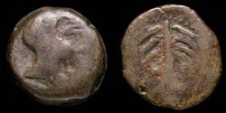 Ancient Coins - Ancient Hispania - Baria, Villaricos (Almeria) Ae As - 26 mm / 19.42 gr.