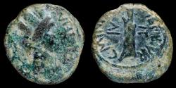 Ancient Coins - Ancient Hispania Semis, CARTEIA (San Roque, Cadiz) - 20 mm / 5,99 gr.