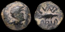 Ancient Coins - Ancient Hispania - Cvnbaria (Sevilla) Ae Semis - 20 mm / 6.44 gr.