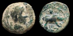 Ancient Coins - Ancient Spain - Castulo, Cazlona (Jaen) Ae Quadrans - 16 mm / 2.60 gr.