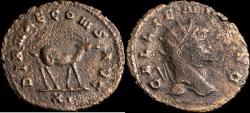 Ancient Coins - Gallienus Antoninianus - DIANAE CONS AVG, Roma - 21 mm / 2.92 gr.