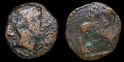Ancient Coins - Ancient Hispania As, Iliberri (Granada) - 25 mm / 9,54 gr.