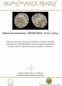 Ancient Coins - Gallienus Ae Antoninianus - FORTVNA REDVX - 19 mm / 3.33 gr.