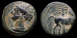 Ancient Coins - Cartagena, Hispanic-Carthaginian 1/2 Calco - 15 mm / 2,31 gr.