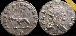 Ancient Coins - Gallienus Antoninianus - LIBERO CONS AVG - 20 mm / 3.10 gr.