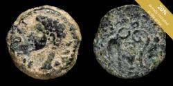 Ancient Coins - Ancient Hispania - Colonia Patricia (Cordoba) Ae Quadrans - 16 mm / 3.23 gr.