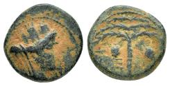 Ancient Coins - PHOENICIA. Tyre. Ae.
