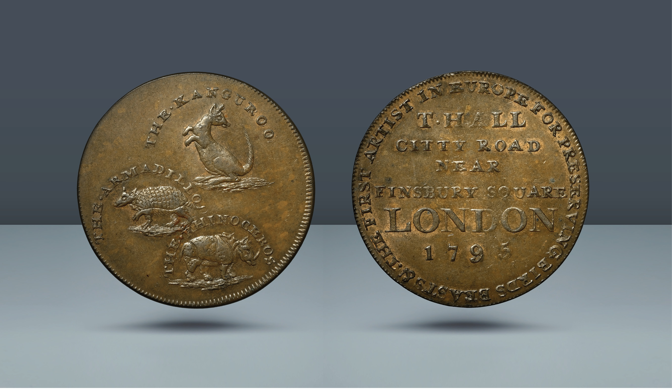 BRITISH TOKEN. Middlesex 313. Hall's. 1795. Copper Halfpenny, 9.38