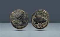 Ancient Coins - Northern Apulia, Luceria. c. 211-200 BC, AE Uncia, 3.75g (15mm, 9h).