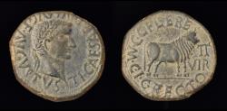 Ancient Coins - TIBERIUS. Æ. Ace. Calagurris. Angry bull. 14-37 AD.