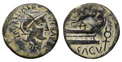 Ancient Coins - SAGUNTUM. Æ. Unit and a half / As. BAEBI GALB. 50-20 B.C.