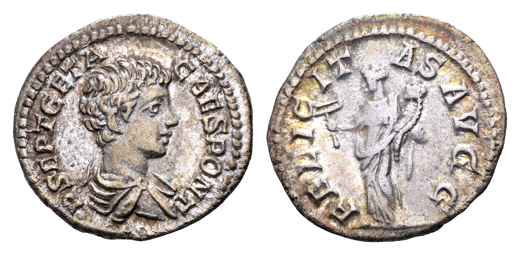 ローマ帝国　198-209　GETA, as Caesar　デナリウス貨@183 ローマ帝国 198-209 GETA, as Caesar デナリウス貨@183