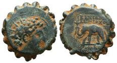 Ancient Coins - SELEUKID EMPIRE, Antiochos VI Dionysos. AE23. 144-142 BC. Antioch.