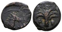 Ancient Coins - CARTHAGE. North Africa. Ae 20. Circa 400-350 BC. Head horse and Palm tree, with two date clusters.