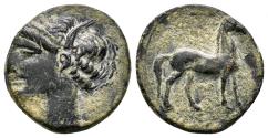 Ancient Coins - ZEUGITANIA. Æ, Calco. 236-215 BC. Carthage mint. Tanit/Horse. SCARCE.