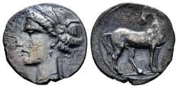 Ancient Coins - NORTH AFRICA. Carthage. Ar, Shekel. 300 BC. Head Tanit left & Horse standing right, head left.