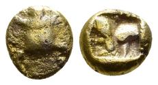 Rare Electrum 1/24th stater, unknown Ionian Mint, Turtle on the obverse