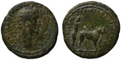 Ancient Coins - Commodus AE As - Oxen refoundating Lanuvium - Very rare R2