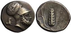 Ancient Coins - 19th C. BMC electrotype - Metapontion AR distater - Hero Leucippus