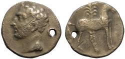 Ancient Coins - Carthago Nova AR shekel - Hannibal & Horse with palm tree - Very rare