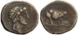 Ancient Coins - 19th C. BMC electrotype - Juba II AR denarius - Elephant