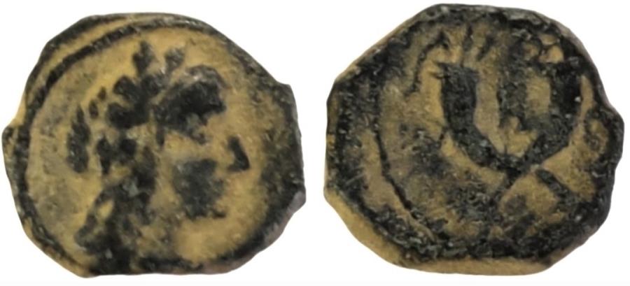 Nabatean Kingdom; Aretas IV (9 BC - 41 AD) | Greek Coins