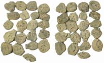 Ancient Coins - Judaea. Lot of 20 Æ Prutot, 2nd-1st century BC - Widow's Mites.As found