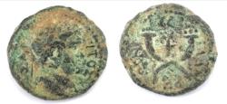 Ancient Coins - Syria. Decapolis, Gadara. Titus, 79 - 81 AD. AE