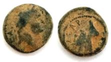 Ancient Coins - DECAPOLIS, GADARA. Titus. AS Caesar. 69 - 79 AD